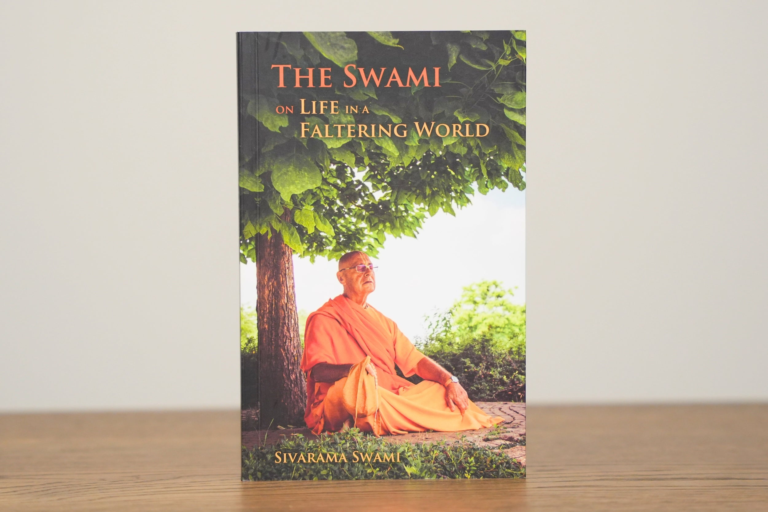 The Swami on Life in a Faltering World