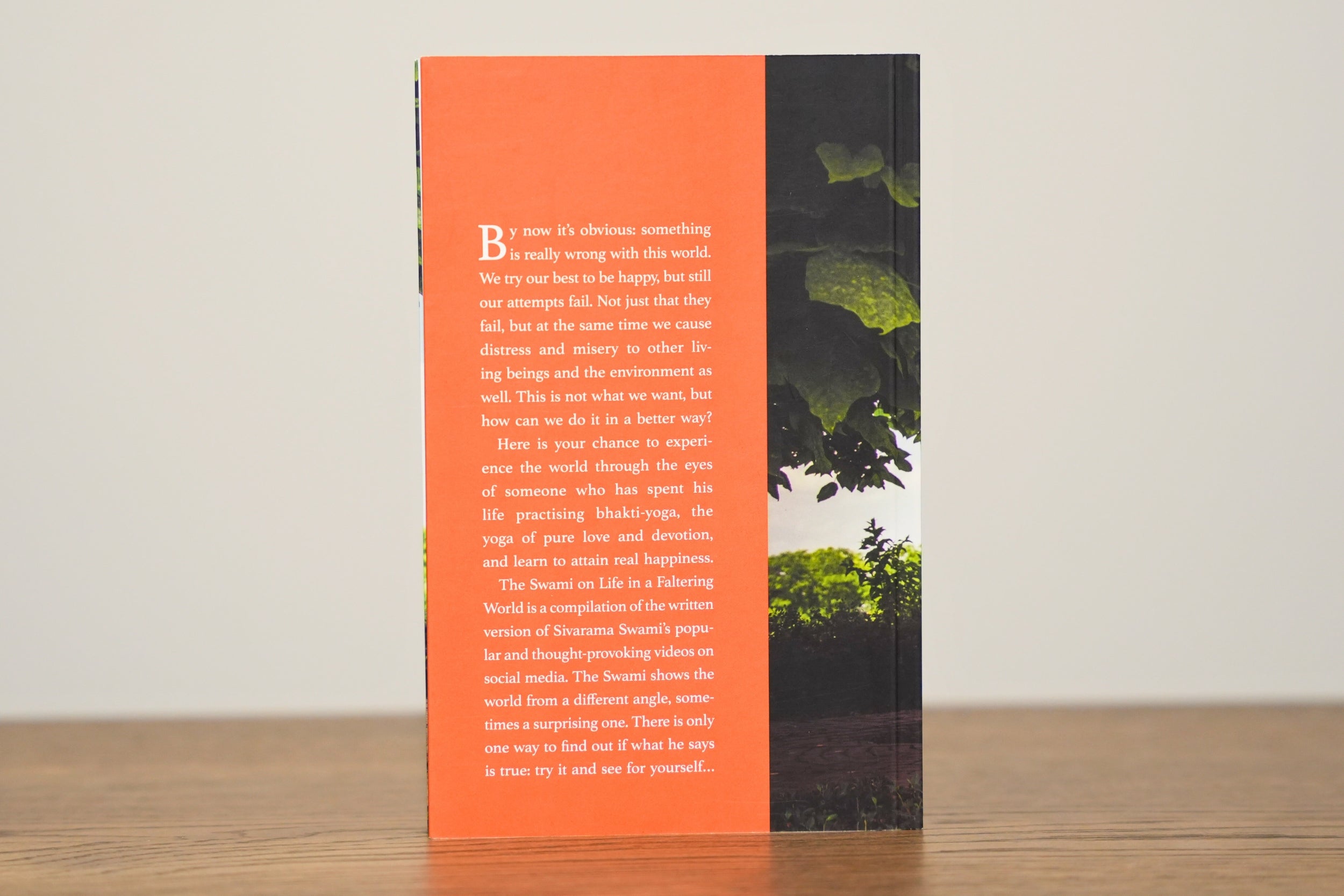 The Swami on Life in a Faltering World