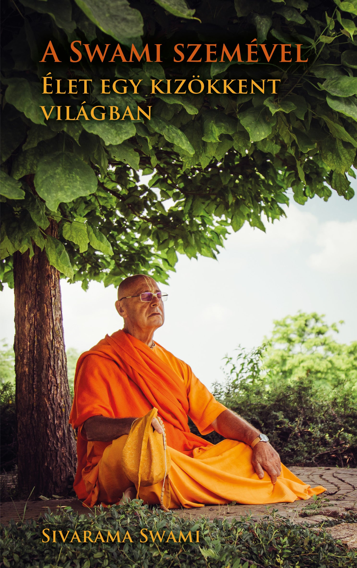 A Swami szemével…  Élet egy kizökkent világban