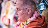 Satsvarūpa dāsa Goswami